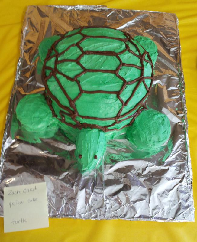 Zach brought us this amazon turtle!