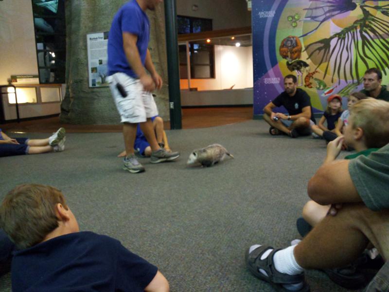 title goes here Scott brings on the opossum!