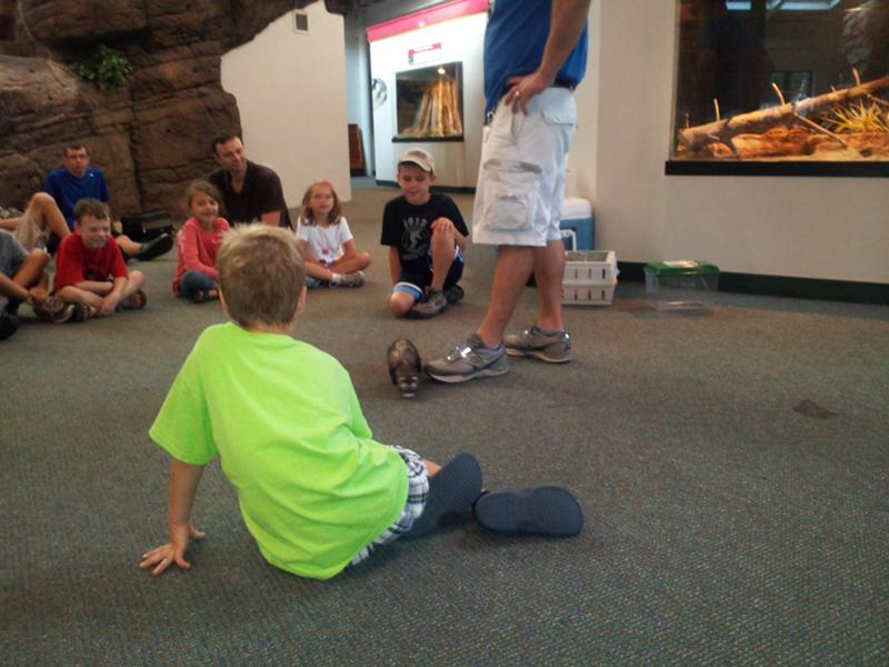 Scott and Oscar introduced the ferret, one of the most popular of the teaching animals. Scott and Oscar introduced the ferret, one of the most popular of the teaching animals.