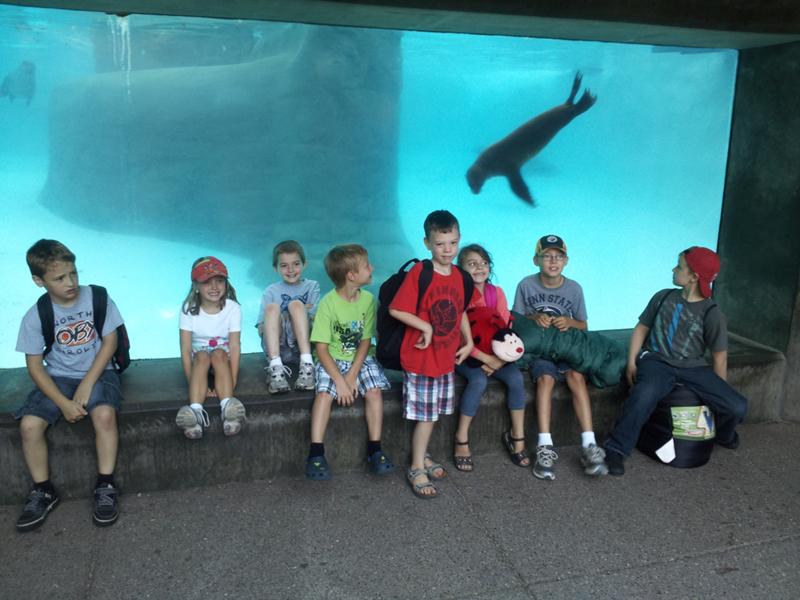 I think this baby sea lion likes us even more than we like her! I think this baby sea lion likes us even more than we like her!