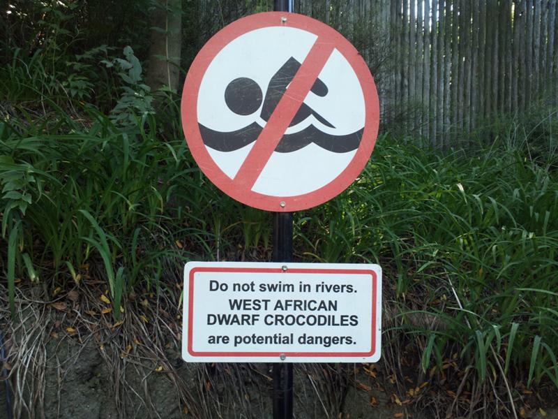 And so you shouldn't swim with them.
