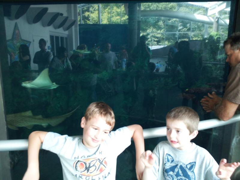 Chilling in front of the shark tank. Did I mention kids love sharks? Chilling in front of the shark tank. Did I mention kids love sharks?