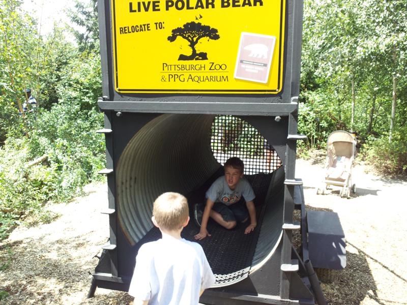 I always thought polar bears were a little larger. I always thought polar bears were a little larger.